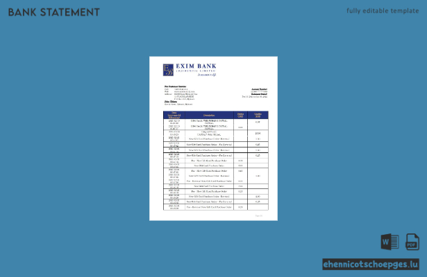 Beispiel eines Kontoauszugs der Djibouti Exim Bank (Vorschau)